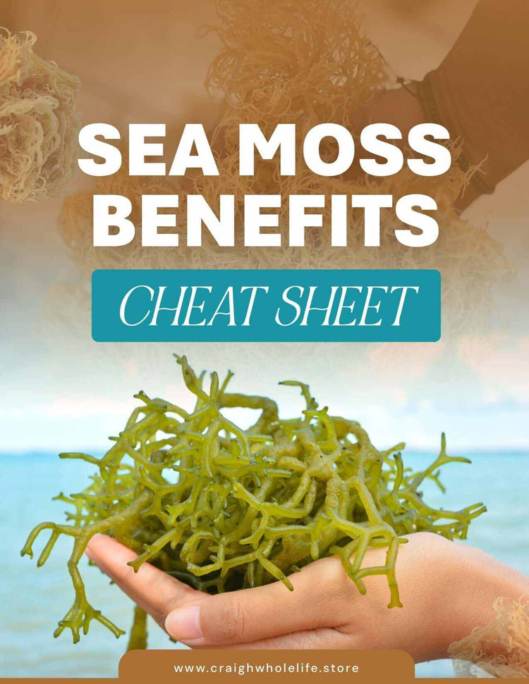 A Book About Moss Your Guide To All Things Sea Moss. ebook
