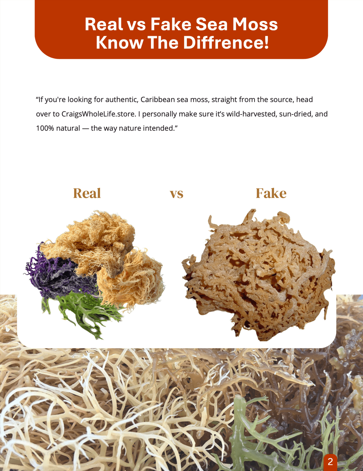 A Book About Moss Your Guide To All Things Sea Moss. ebook