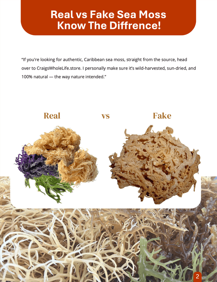 A Book About Moss Your Guide To All Things Sea Moss. ebook