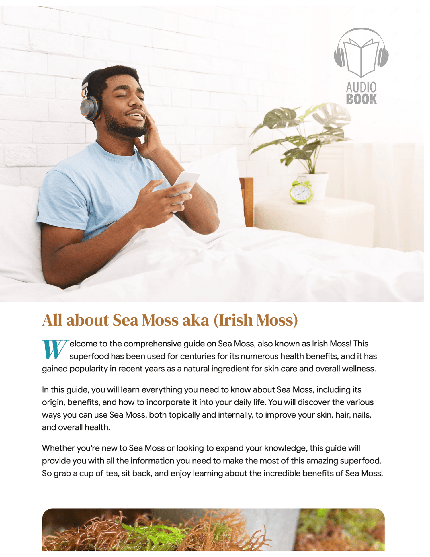 A Book About Moss Your Guide To All Things Sea Moss. Audio 