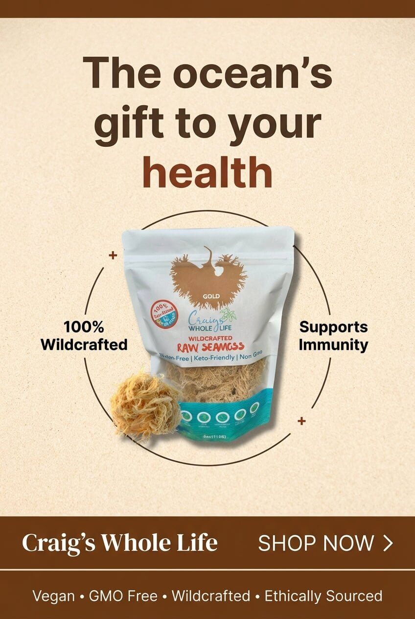 Raw Gold Sea Moss (Wildcrafted) - Craigswholelife Wildcrafted Sea Moss Gel Caribbean Sea Moss 