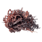 Raw Purple Sea Moss Wildcrafted, showing its unique texture and natural appearance.